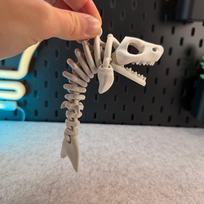 Скелет Акулы